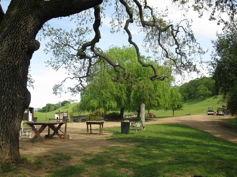 Picture 0356.jpg